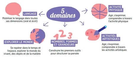 Visuel des 5 domaines