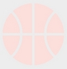 basket_x100-ee7af