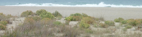 plage_leucate-2