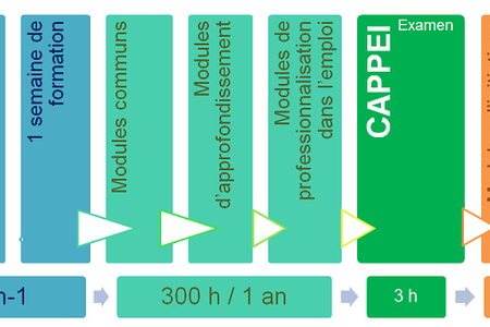 Cappei formation