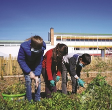 Reportage biodiversité