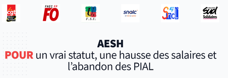 pétition AESH
