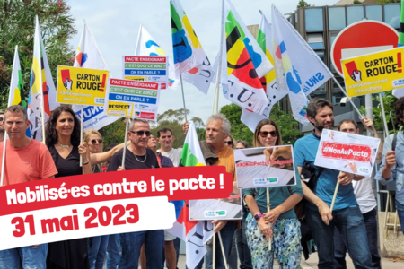 Mobilisees contre le pacte  3