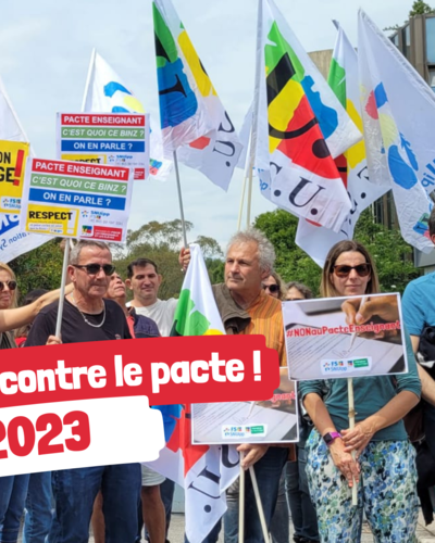 Mobilisees contre le pacte  3