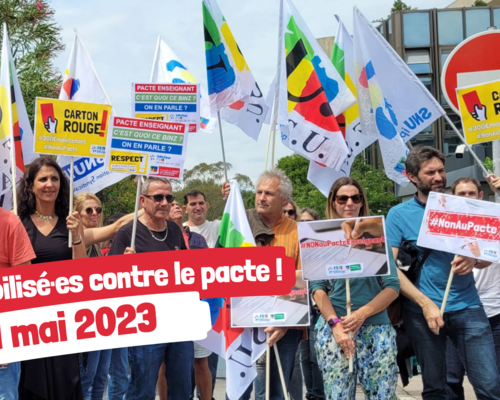 Mobilisees contre le pacte  3